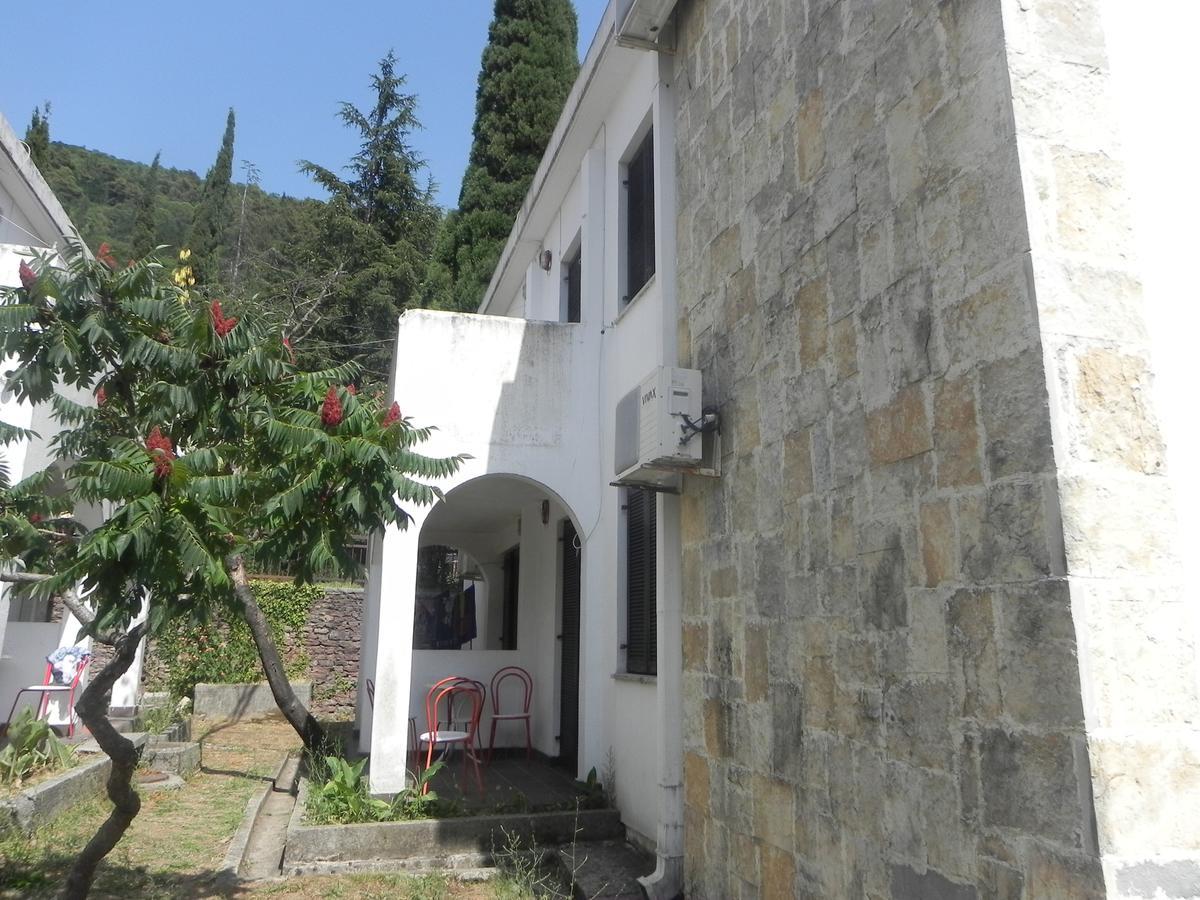 Holiday Park Vile Park Budva Eksteriør billede